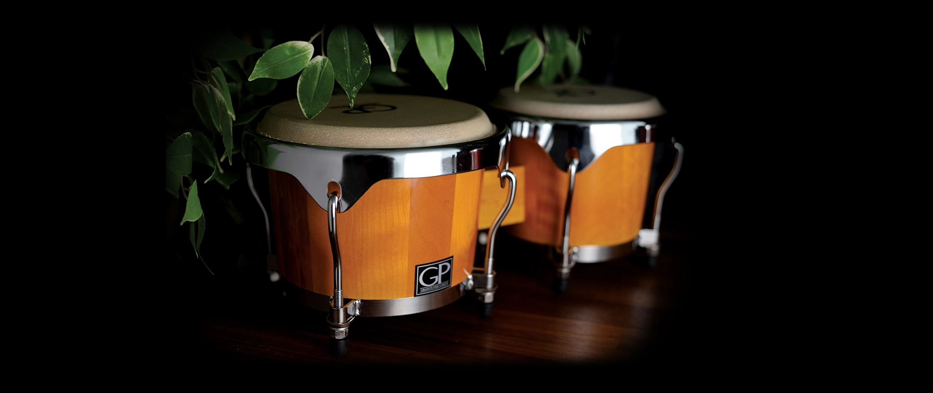 GP-BONGOS banner